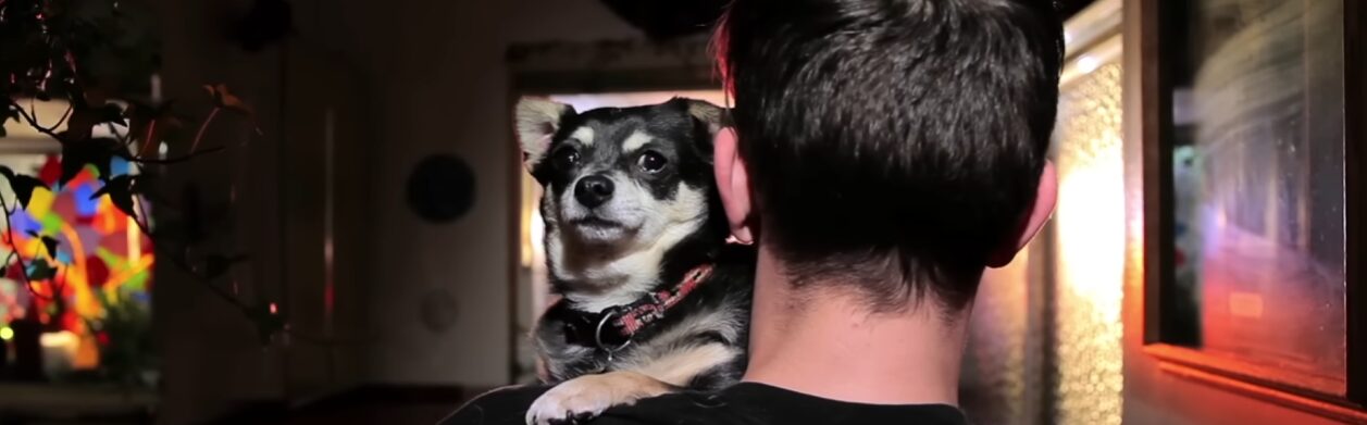 Perfume Genius: Dark Parts